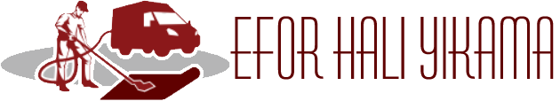 Diyarbakır Efor Halı Koltuk Yıkama | E-Halı Servisi Yetkili Bayii
